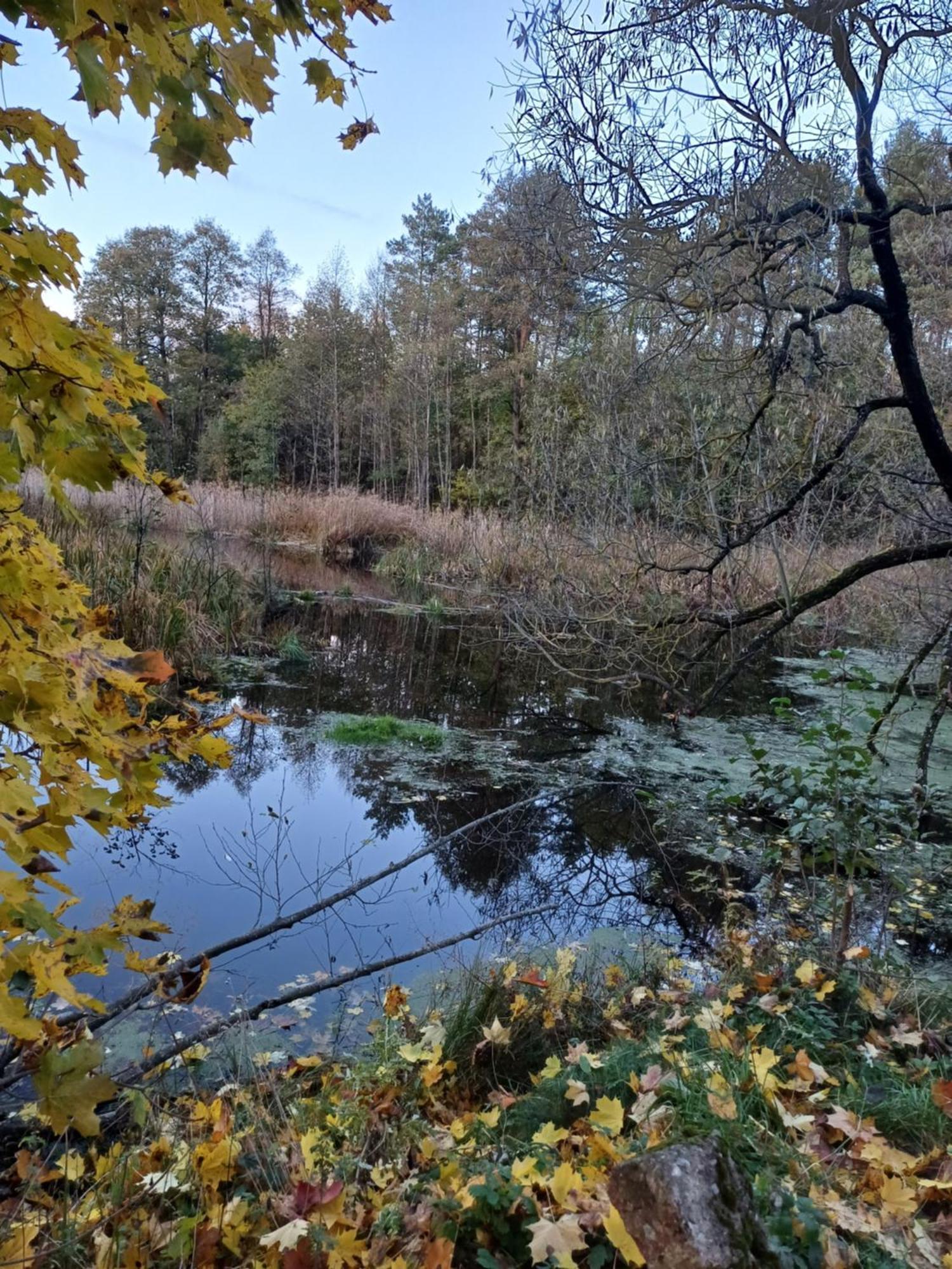 Kozioł Ośrodek wypoczynkowy 2*